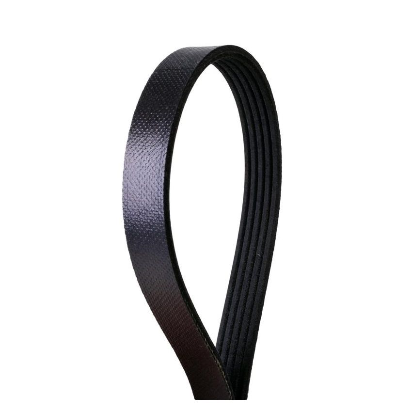 CONTITECH 4050395 Multi-V Belt