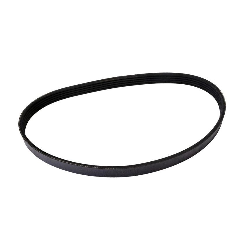 CONTITECH 4050429 Multi-V Belt