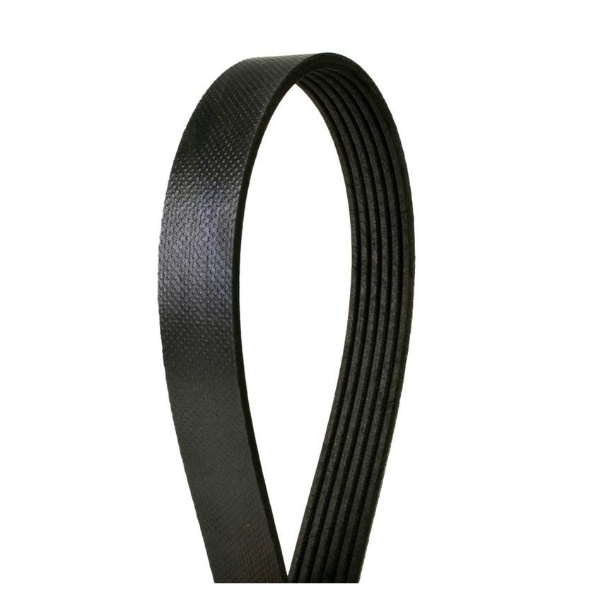 CONTITECH 6PK2125 Metric Multi-V Belt