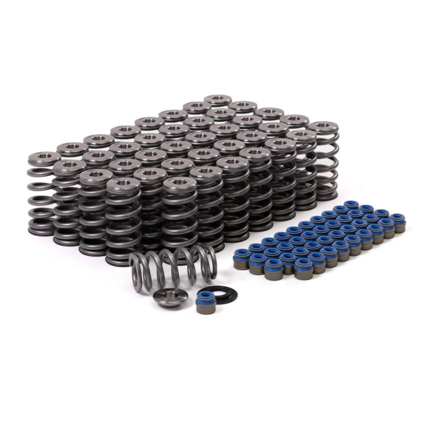 GSC Power Division 5025 GSC P-D Audi R8 V10 / Lamborghini Huracan V10 5.2L Valve Spring & Ti Retainer Kit (w/Seats & Seals)