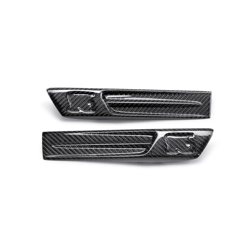 Seibon Carbon FDL0910NSGTR FENDER DUCT LOGOS (pair)