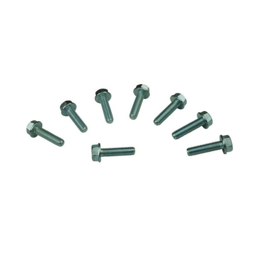 MOROSO MOR38591 Bolt Kit GM LS Timing Cover