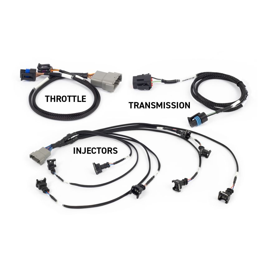 Haltech HT-220201 NEXUS Rebel LS Gen III Cable Throttle/EV1 Injectors/Manual Transmission