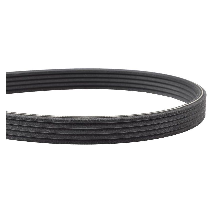 MITSUBOSHI 5DPK1550 V-RIBBED BELT