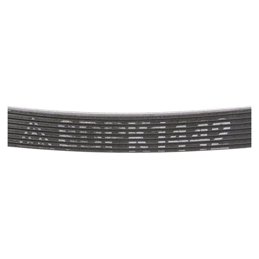 MITSUBOSHI 8DPK1442 V-RIBBED BELT