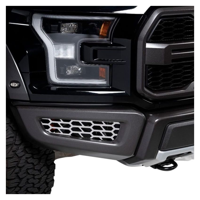Putco 82168 18-20 Ford F-150 Raptor - Hex Shield - Polished SS Bumper Grille Inserts