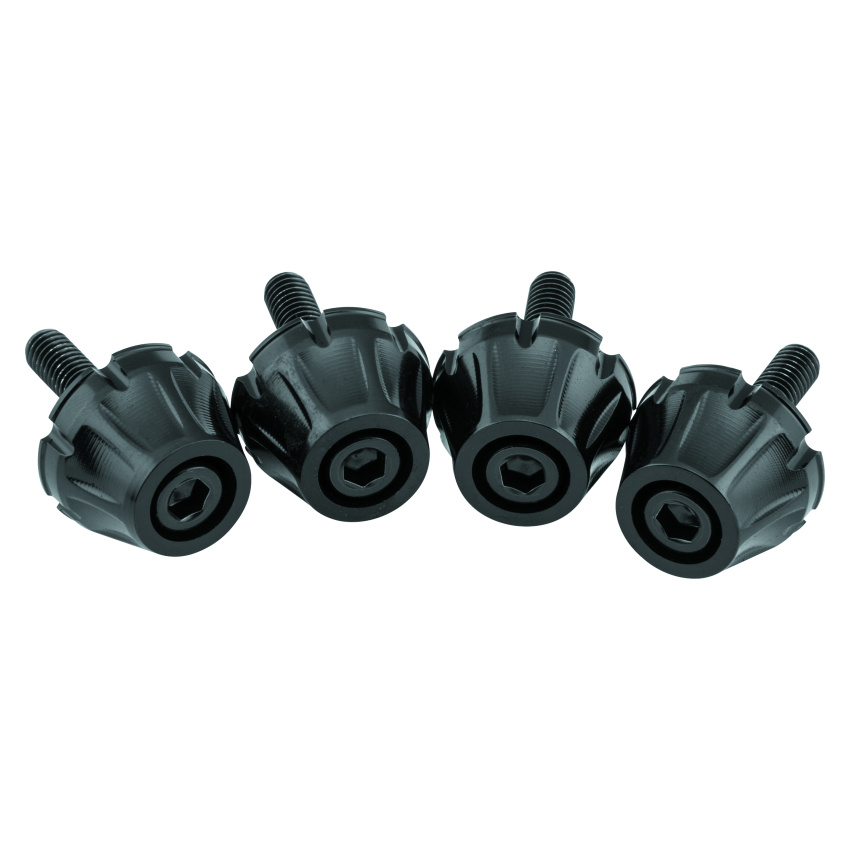 Kuryakyn 5722 Windshield Screws FLTR Black