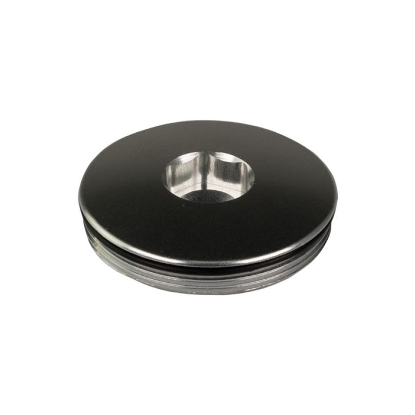 Turbosmart TS-0205-3103 BOV Port Blanking Plug