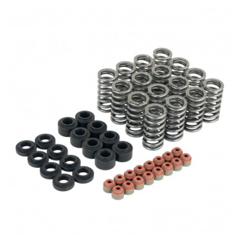 Skunk2 Honda L15B7 Ultra Valve Springs and Spring Base Kit