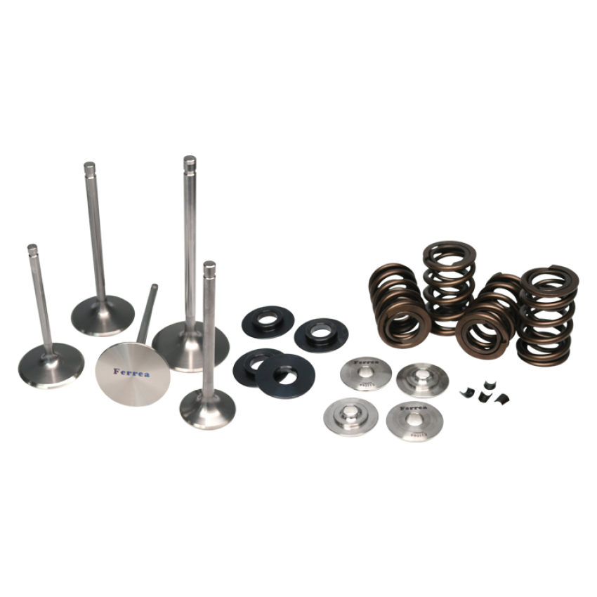 Ferrea Subaru WRX STI Endurance Dual Spring Kit