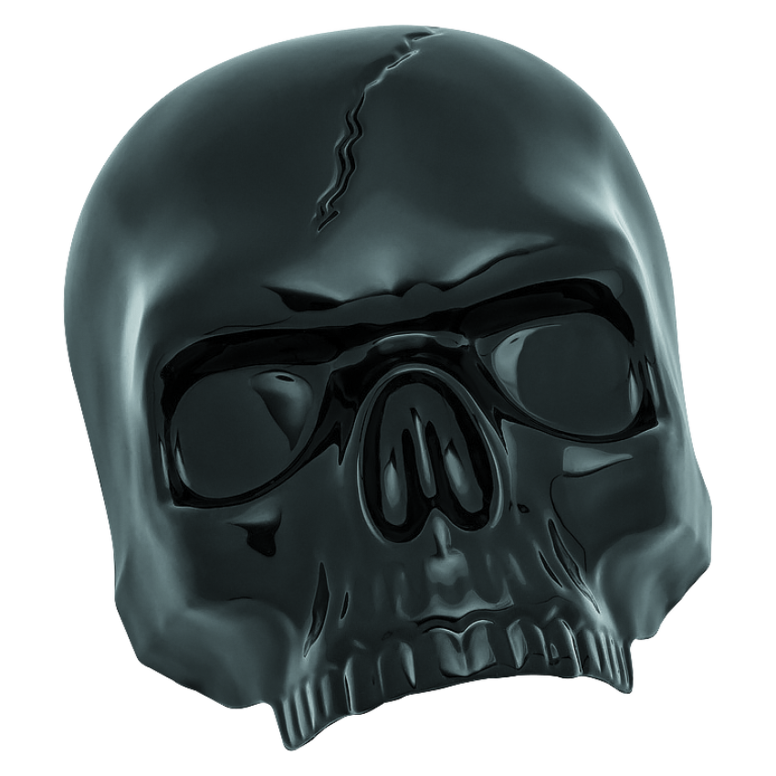 Kuryakyn 5731 Skull Horn Cover Black