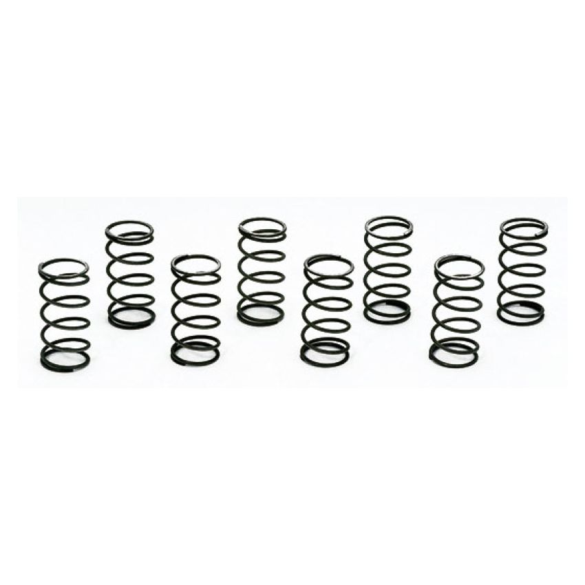 MOROSO MOR62380 Valve Checking Springs