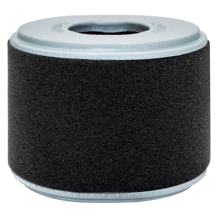 BALDWIN FILTERS PA4552 Oval Air Element with Foam Wrap