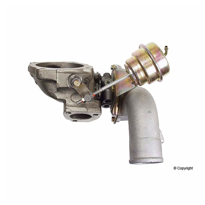 BorgWarner 53049887501 