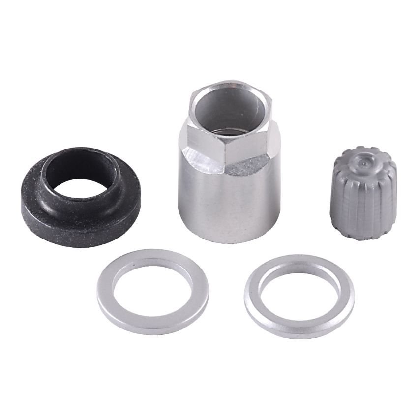 SCHRADER VALVES 20023-25 TPMS Service Pk - Clamp-In - 25 Pk