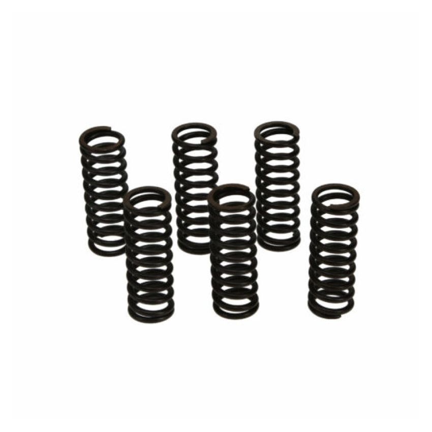 Wiseco CSK007 XR400/TRX250/ATC250R Clutch Spring Kit