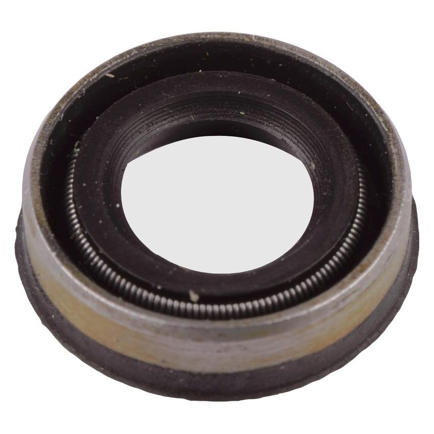 SKF 3036 Seal