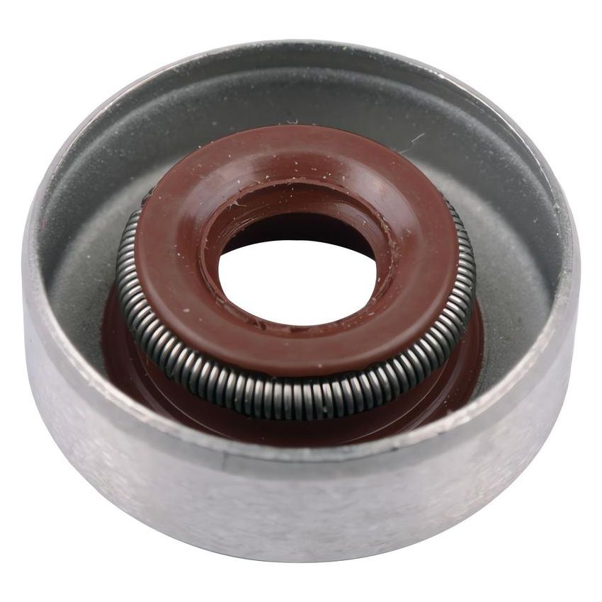 SKF 4923 SKF Seal 4923