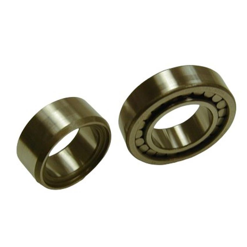 SKF MU1308-TV SKF Cylindrical Roller Bearing MU1308-TV