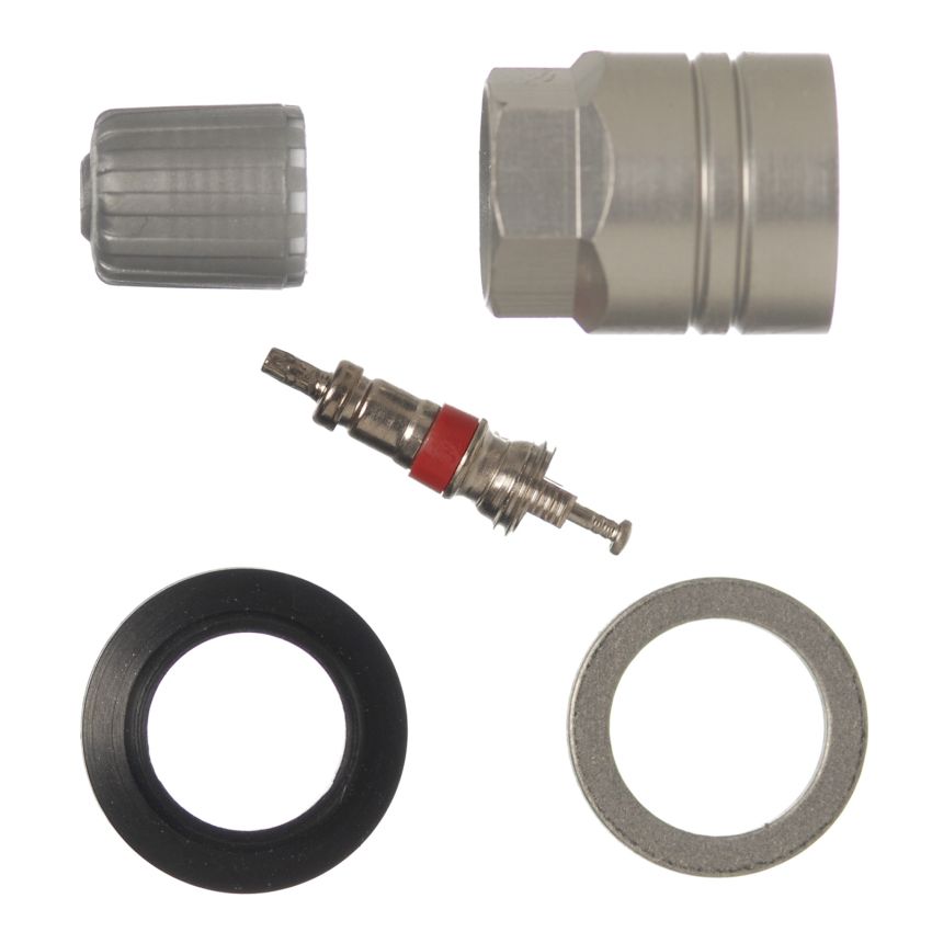 SCHRADER VALVES 20019-25 TPMS Service Pk - Clamp-In - 25 Pk