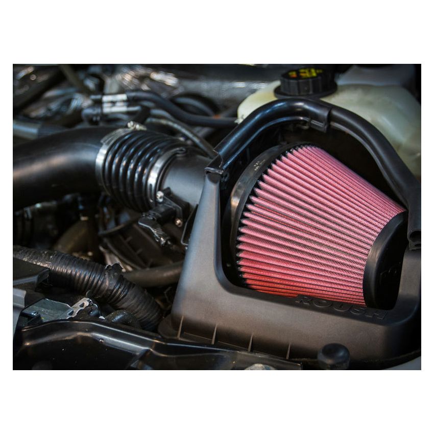 ROUSH 2011-2014 Ford F-150 5.0L Cold Air Kit