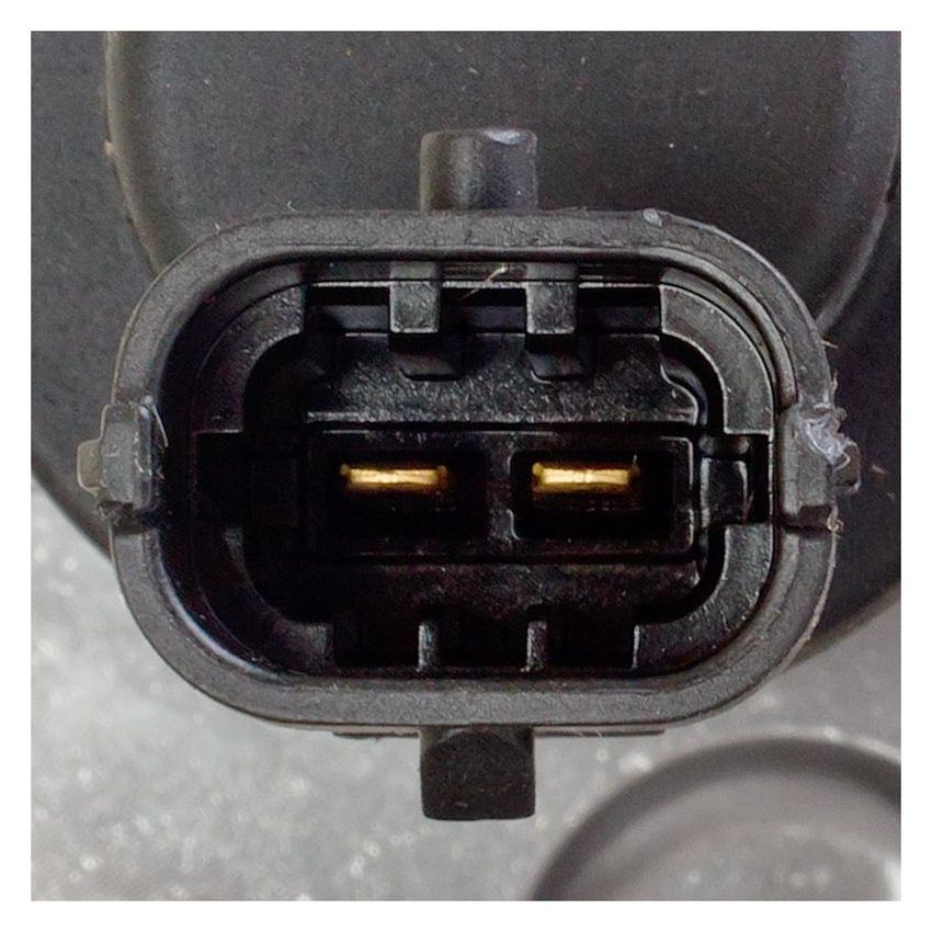 DELPHI EX631050 Fuel Injection Pump