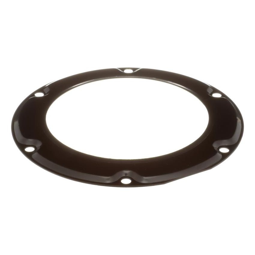 DELPHI FA10037 Fuel Tank Lock Ring