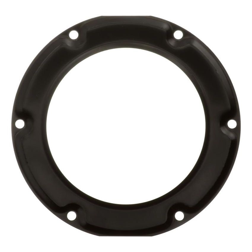 DELPHI FA10037 Fuel Tank Lock Ring