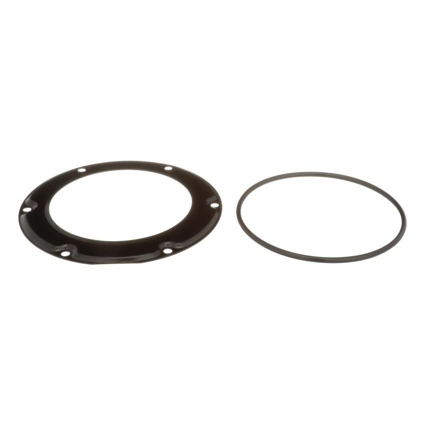 DELPHI FA10037 Fuel Tank Lock Ring