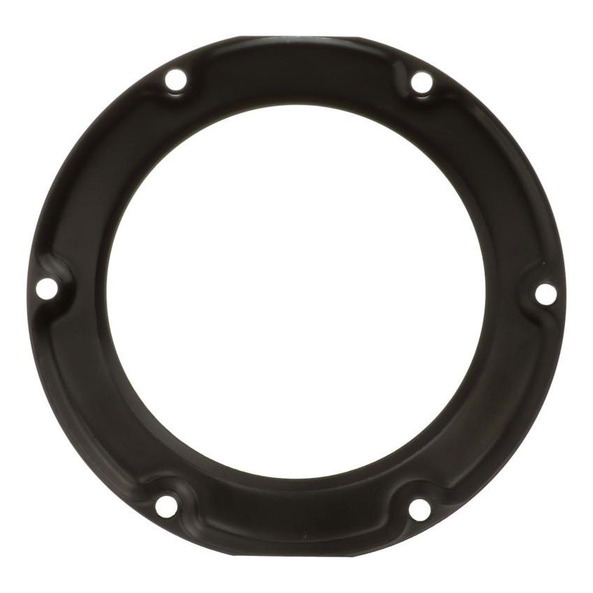 DELPHI FA10037 Fuel Tank Lock Ring
