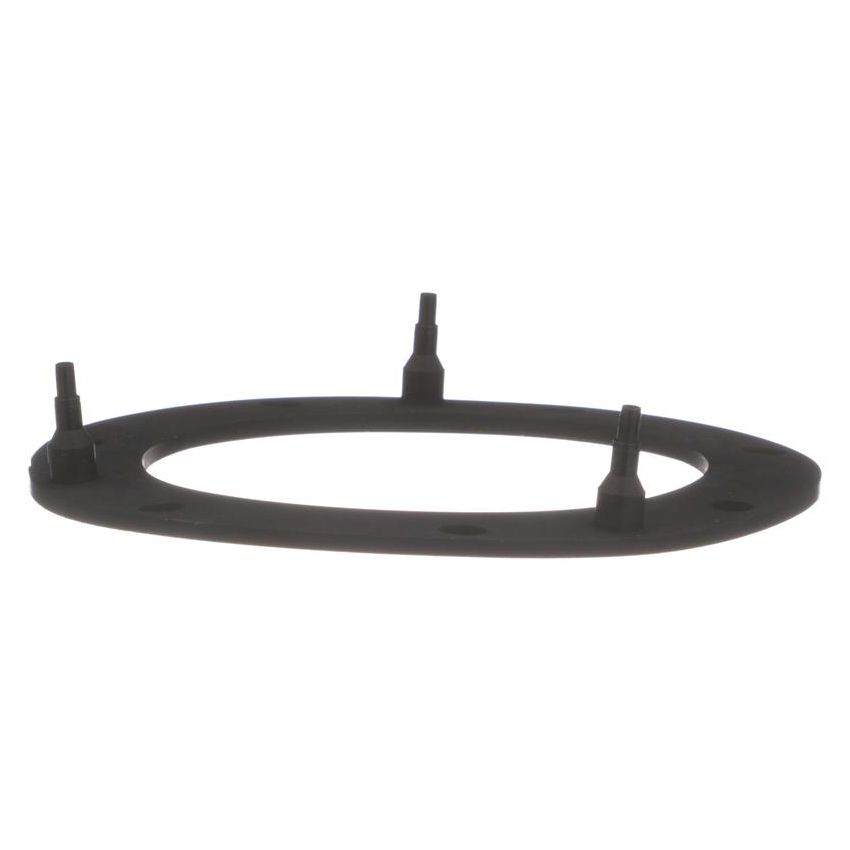 DELPHI FA10038 Fuel Pump Tank Seal