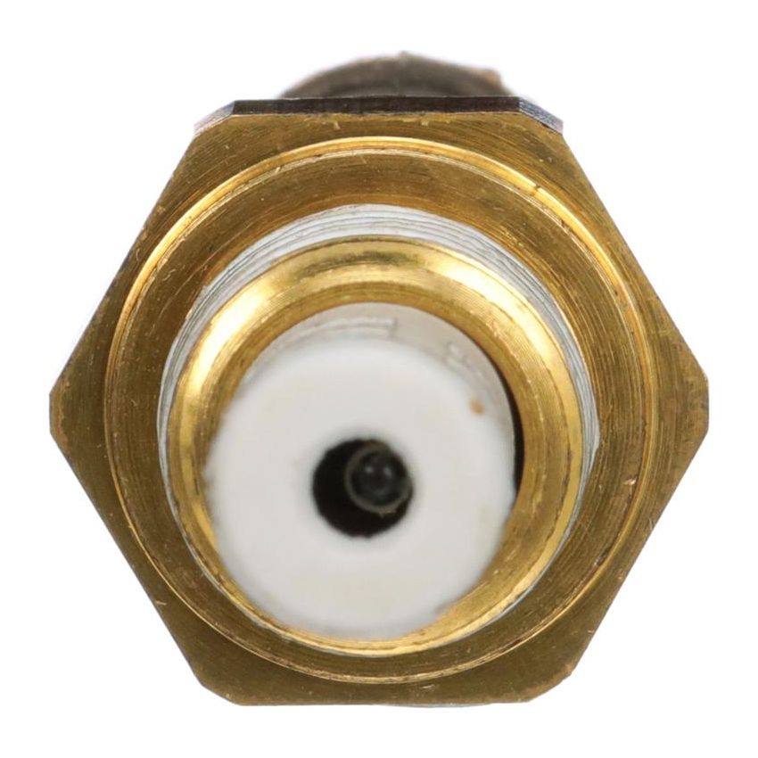 DELPHI TS10534 Air Charge Temperature Sensor