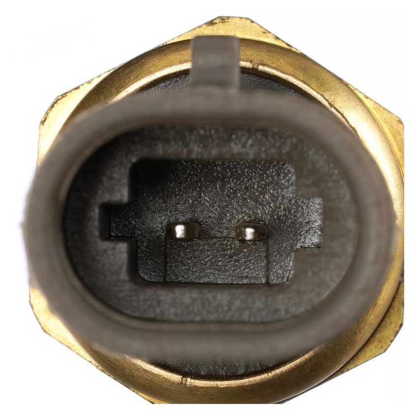 DELPHI TS10534 Air Charge Temperature Sensor