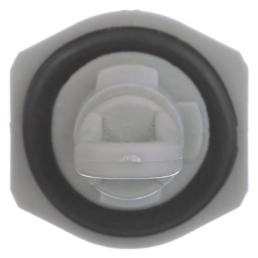 DELPHI TS10562 Air Charge Temperature Sensor