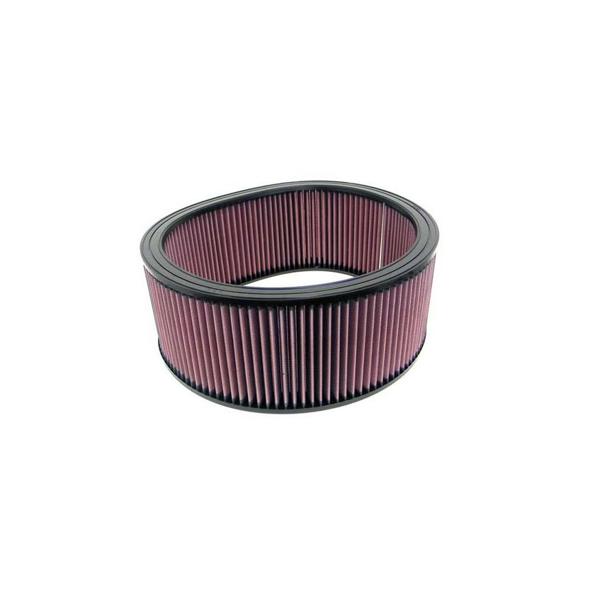 K&N E-1695 SPECIAL ORDER Rnd Fltr