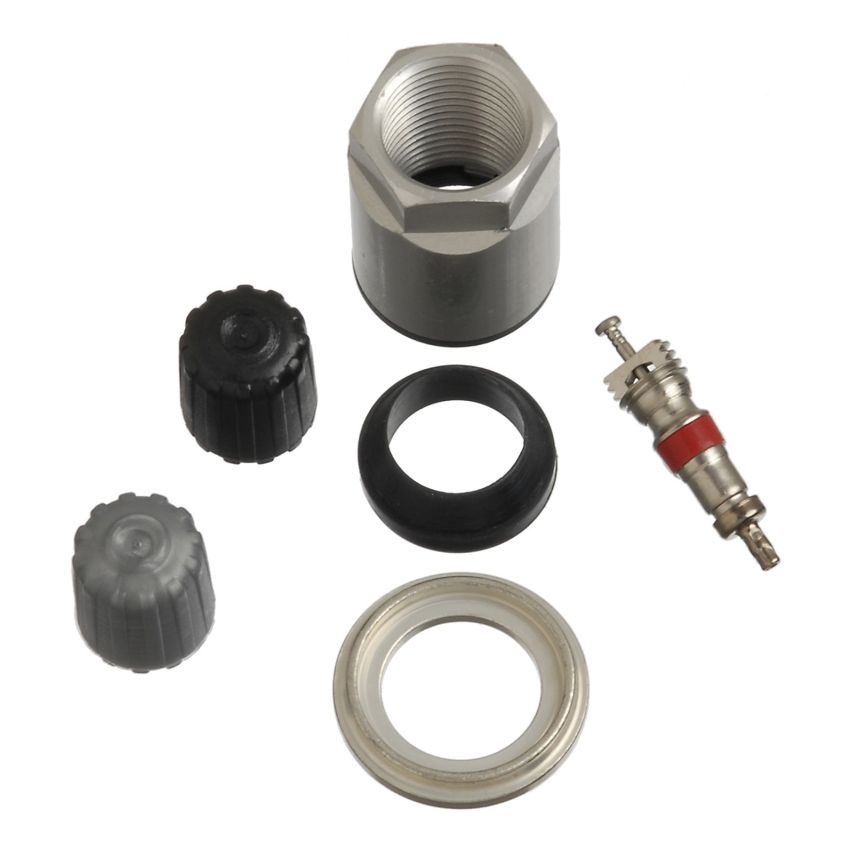 SCHRADER VALVES 20030-25 TPMS Service Pk - Clamp-In - 25 Pk