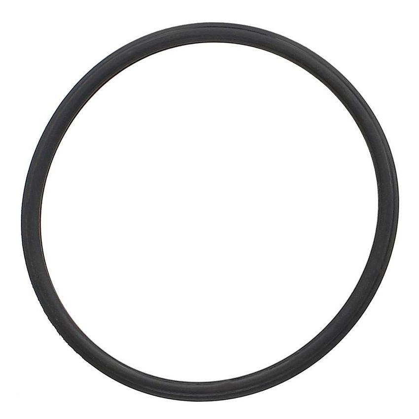 Elring 096.800 Seal, thermostat