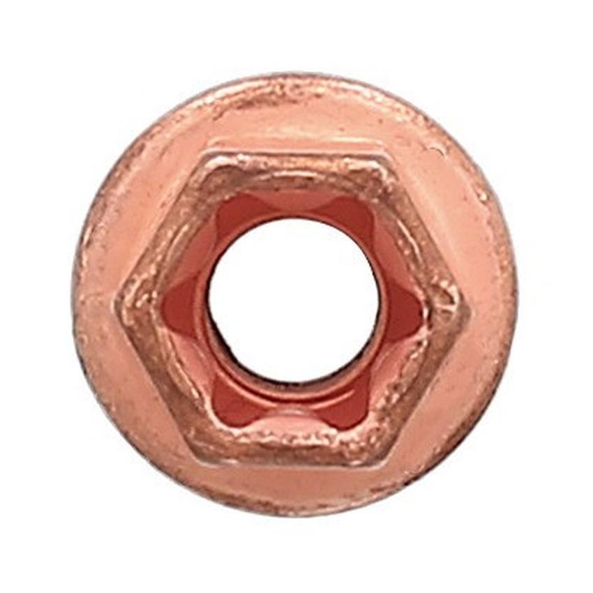 Elring 593.260 Locknut