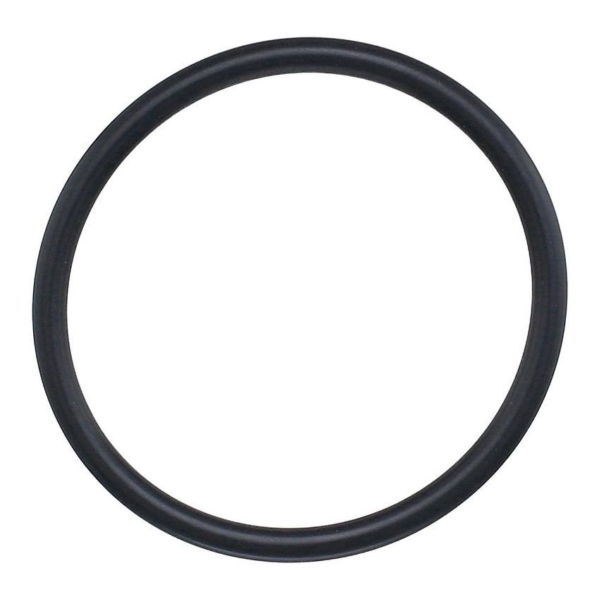 Elring 761.109 Seal Ring