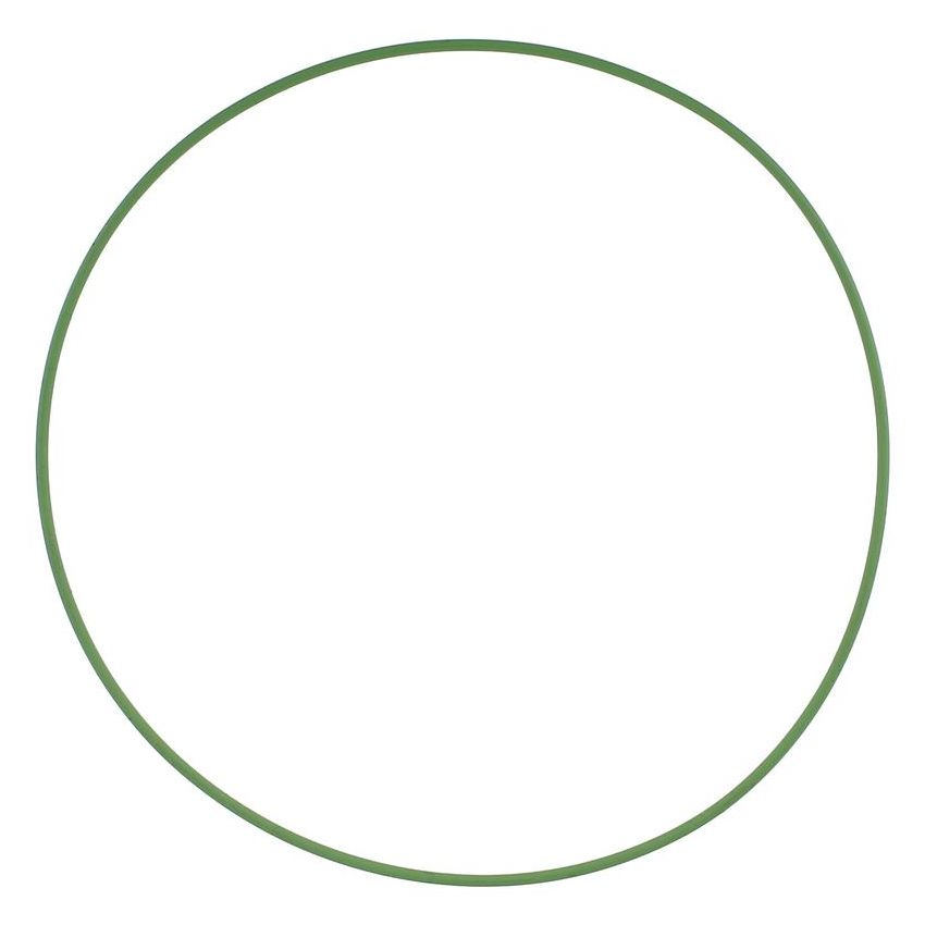 Elring 776.696 Seal Ring