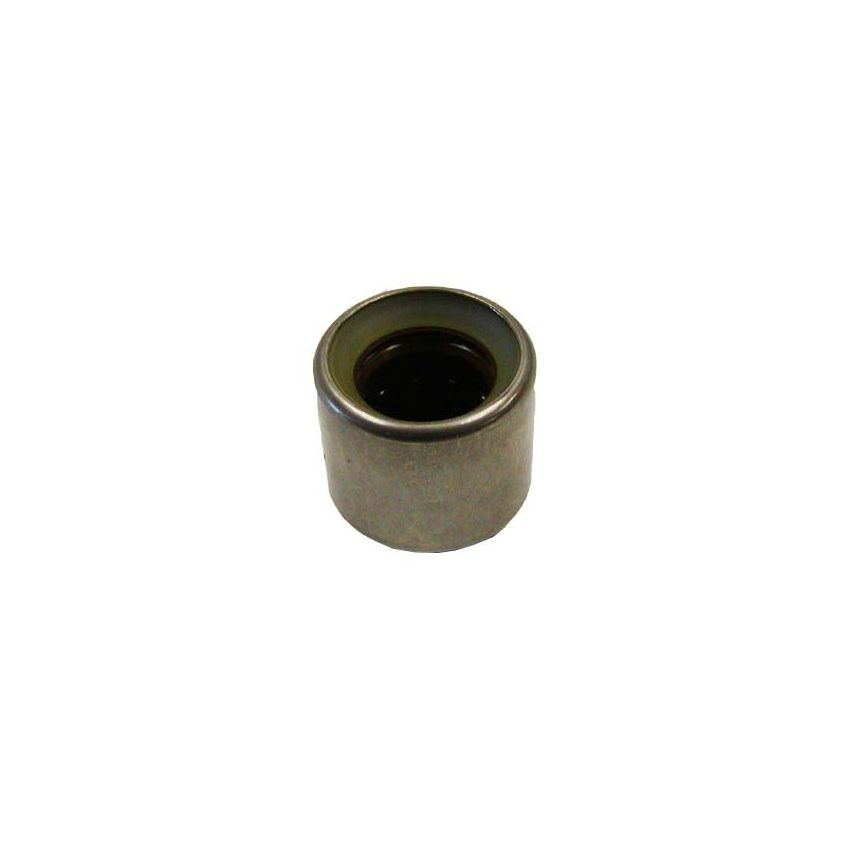 SKF F212285 SKF Needle Bearing F212285 For Audi Porsche