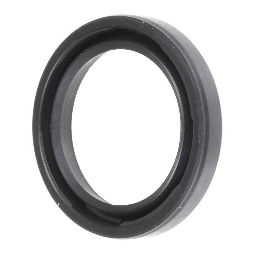Schaeffler SS3989 Schaeffler Shaft Seal