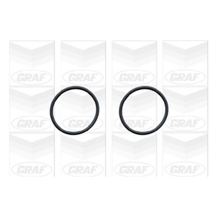 GRAF PA1105 Water Pump
