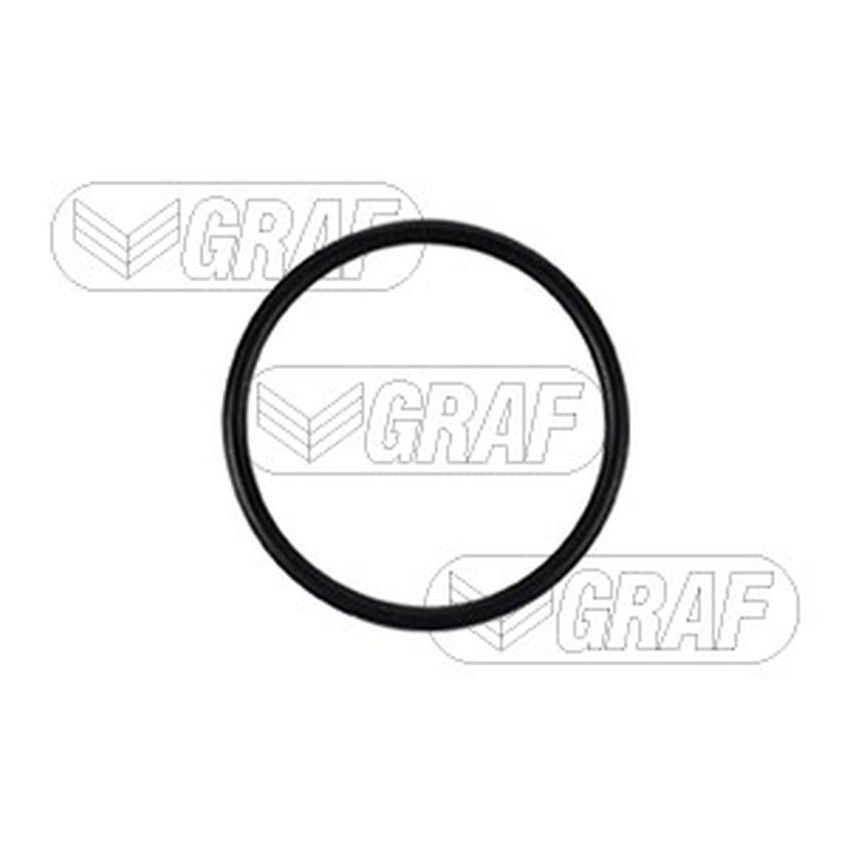 GRAF PA717 Water Pump