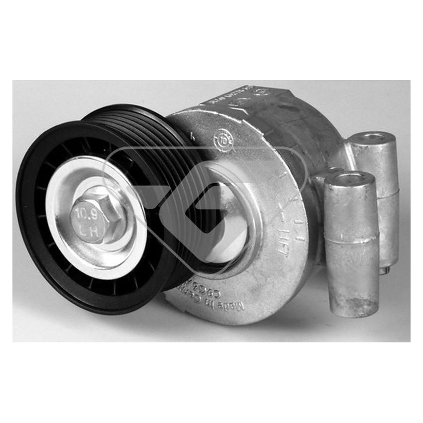 Hutchinson T0316 Poly V® tensioner
