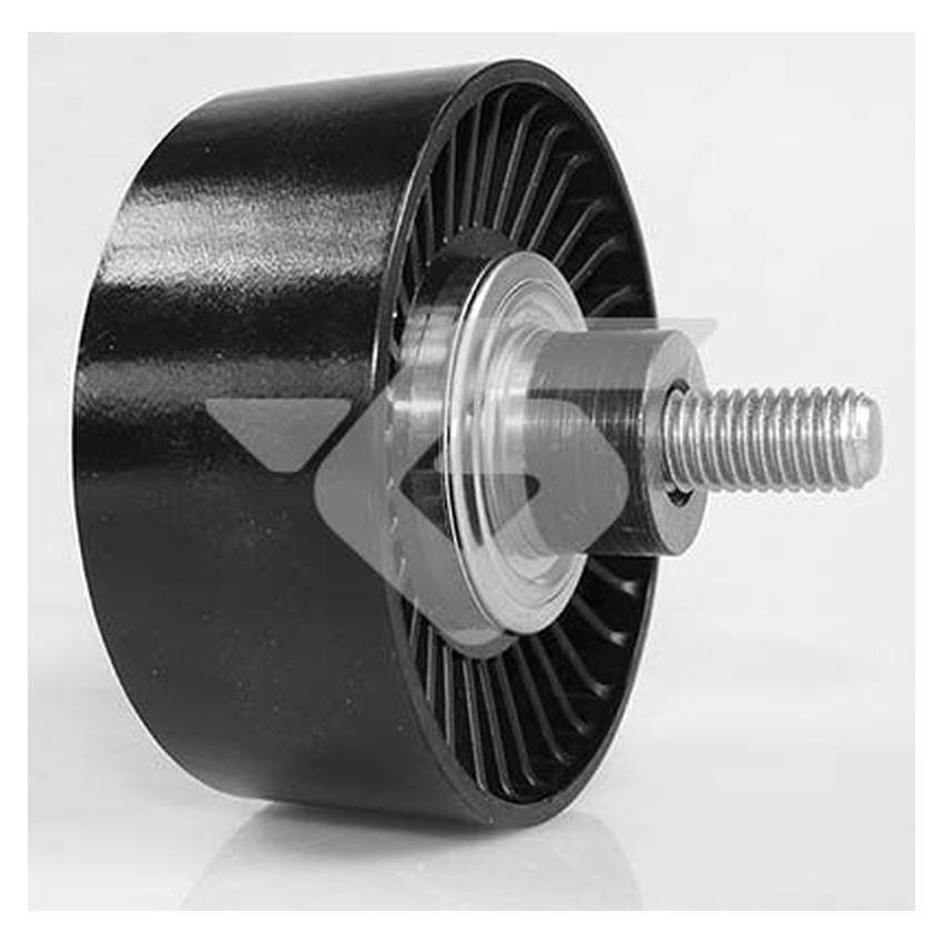 Hutchinson T0541 Poly V® idler