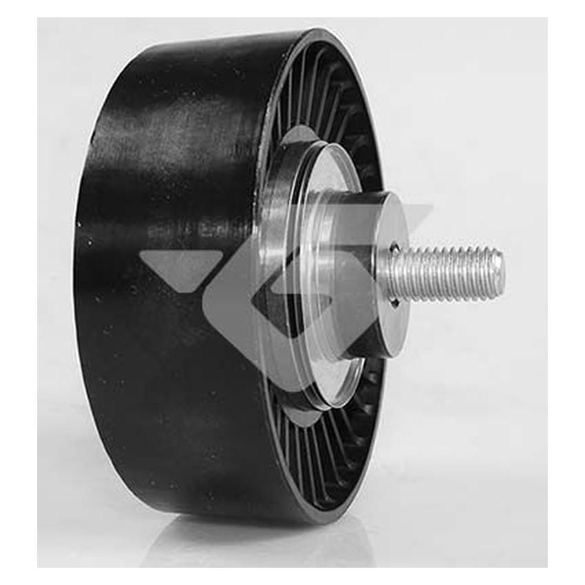 Hutchinson T0542 Poly V® idler