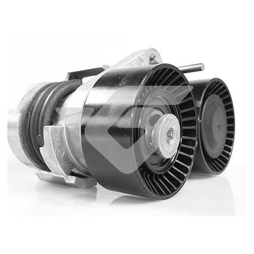 Hutchinson T0576 Poly V® tensioner