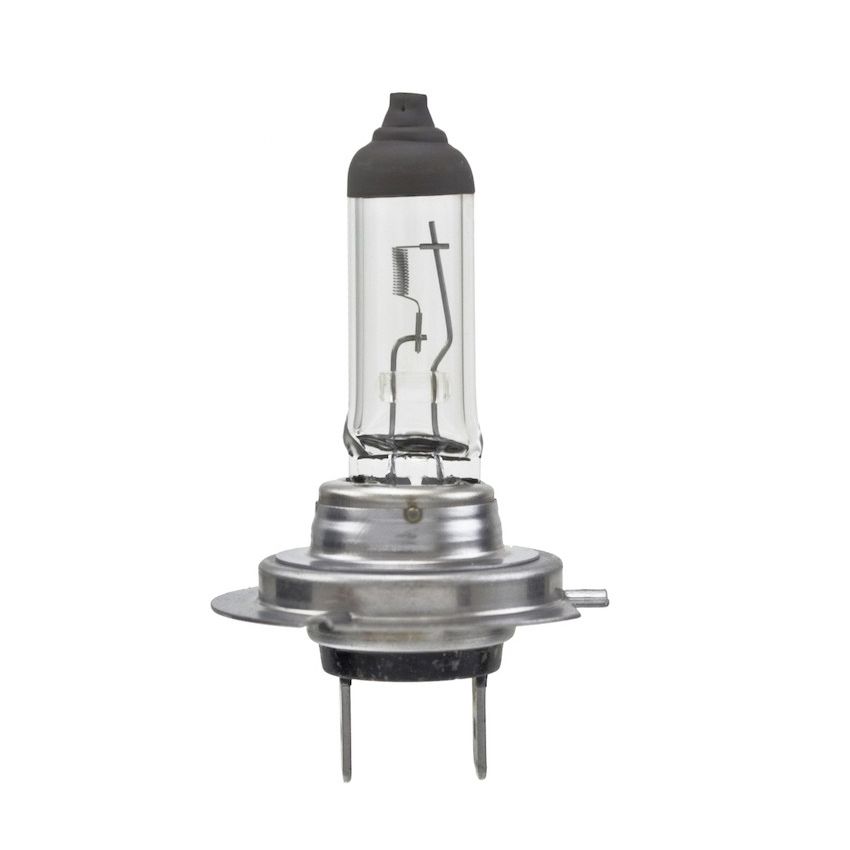 Hella H7 100WTB HELLA H7 100WTB High Wattage Series Halogen Light Bulb