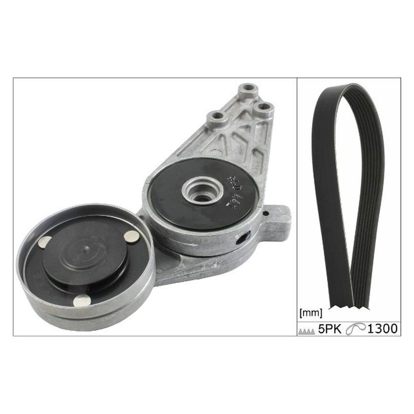 INA FB0096K INA BDC FEAD Kit